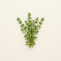 Fresh Thyme