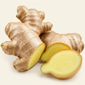 Fresh Ginger Root